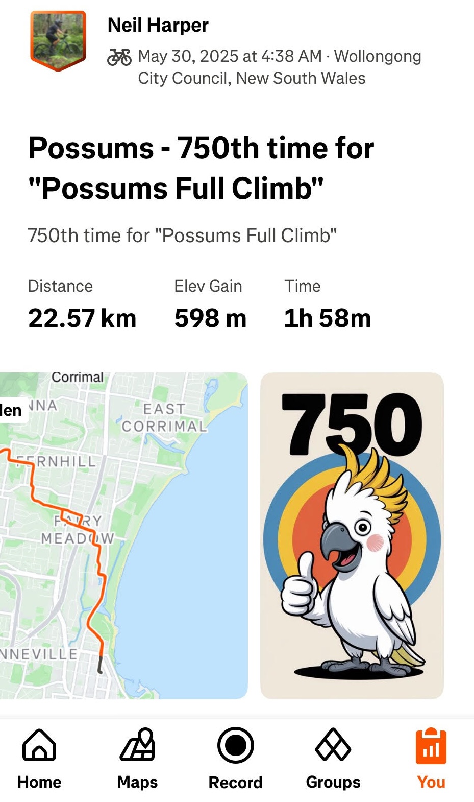 Possums